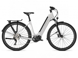 Elektrokolo Focus PLANET2 6.9 29 Grey 625WH, 2023