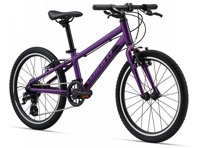 Kolo Giant ARX 20 Purple, 2022