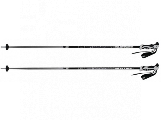 Lyžařské hole BLIZZARD Allmountain, silver