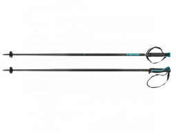 Hole Head Frontside black speed blue