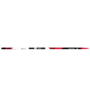 Běžky Rossignol Delta Sport R-Skin Stiff+Race Classic XC 