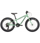 Kolo Kona Makena Green 11" - 20, 2023