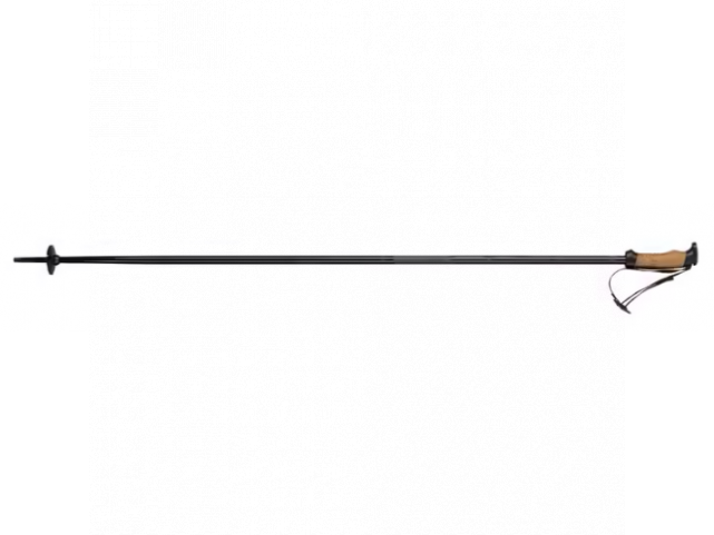 Lyžařské hole Elan Speedrod, Black