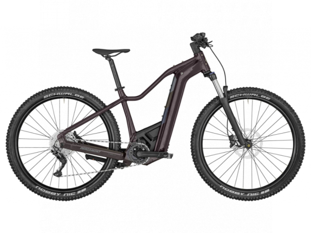 Elektrokolo Bergamont E-Revox Sport FMN